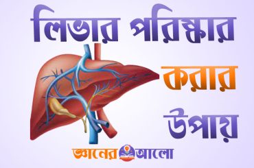 নিজেকে সুস্থ রাখতে লিভার পরিষ্কার করার উপায়