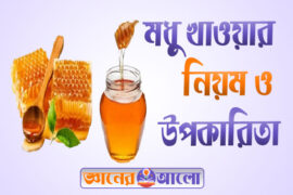 মধু উপকারিতা ও খাওয়ার নিয়ম
