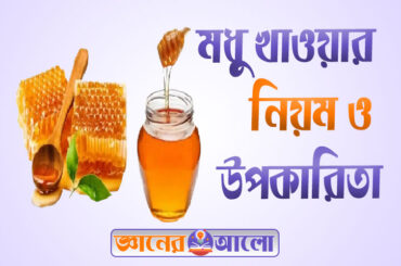 মধু উপকারিতা ও খাওয়ার নিয়ম