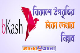 বিকাশে প্রাথমিক উপবৃত্তির টাকা দেখার নিয়ম