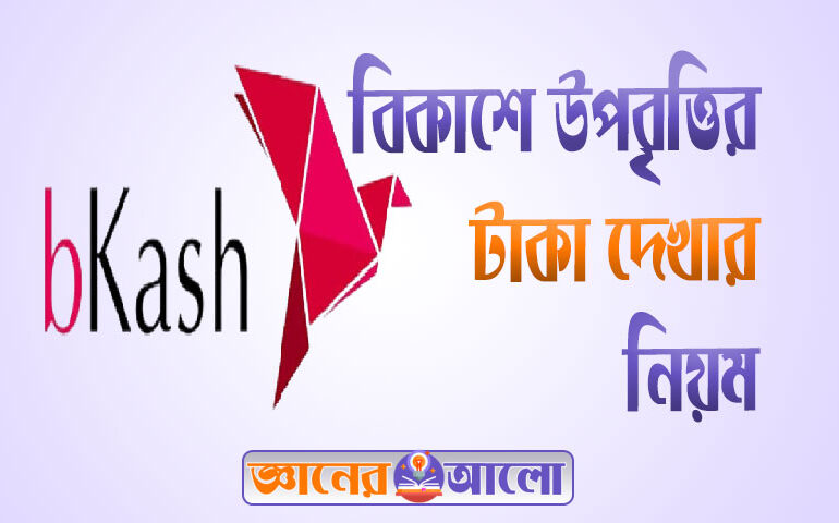 বিকাশে প্রাথমিক উপবৃত্তির টাকা দেখার নিয়ম